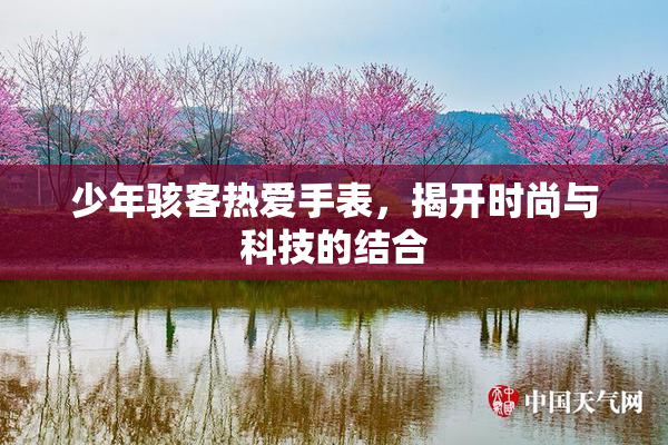 少年骇客热爱手表，揭开时尚与科技的结合