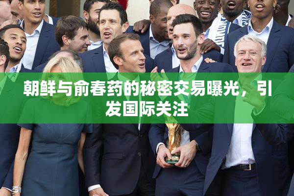 朝鲜与俞春药的秘密交易曝光，引发国际关注