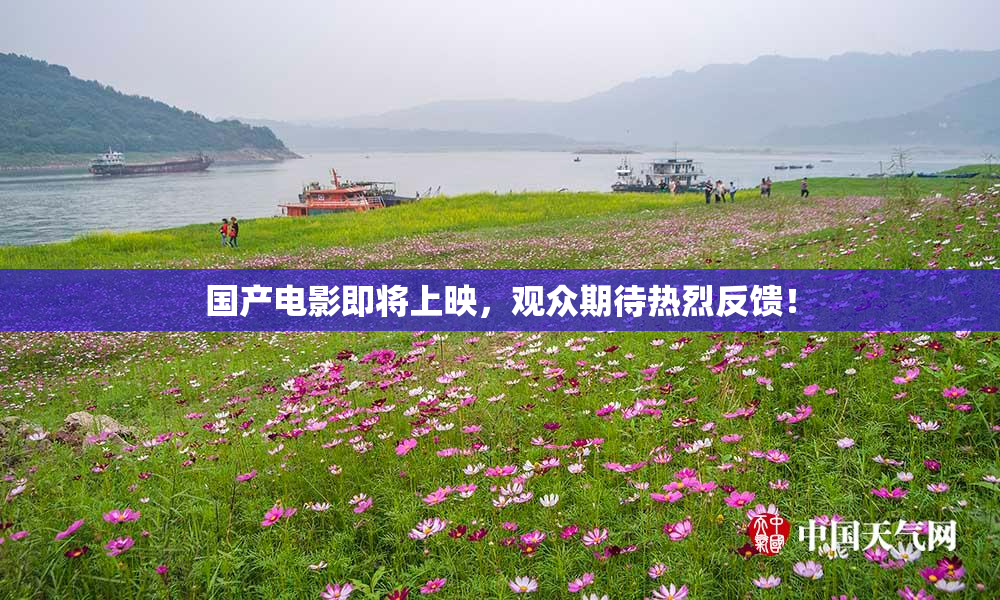 国产电影即将上映，观众期待热烈反馈！