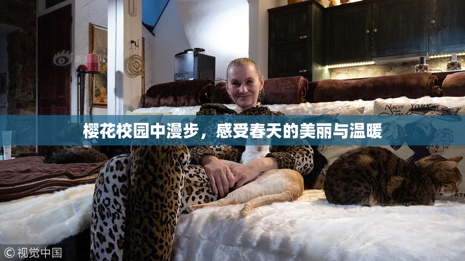 樱花校园中漫步，感受春天的美丽与温暖