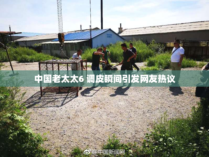 中国老太太6 调皮瞬间引发网友热议