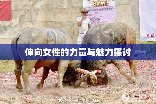 伸向女性的力量与魅力探讨