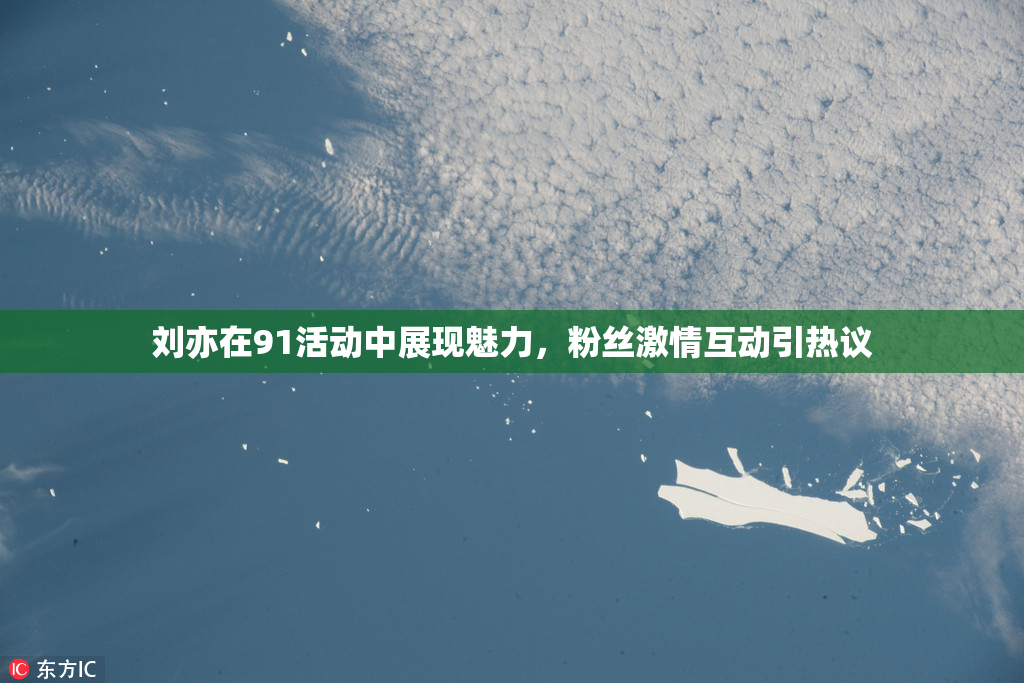 刘亦在91活动中展现魅力，粉丝激情互动引热议