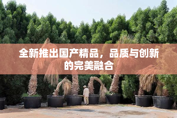 全新推出国产精品，品质与创新的完美融合