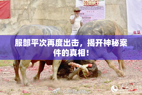 服部平次再度出击，揭开神秘案件的真相！