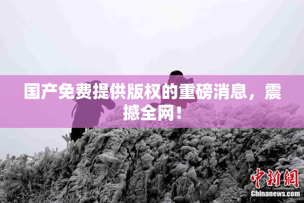 国产免费提供版权的重磅消息，震撼全网！