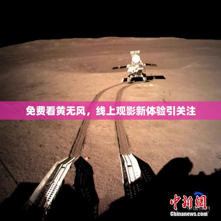 免费看黄无风，线上观影新体验引关注