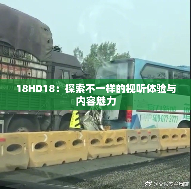 18HD18：探索不一样的视听体验与内容魅力
