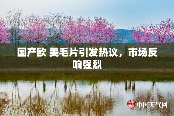 国产欧 美毛片引发热议，市场反响强烈