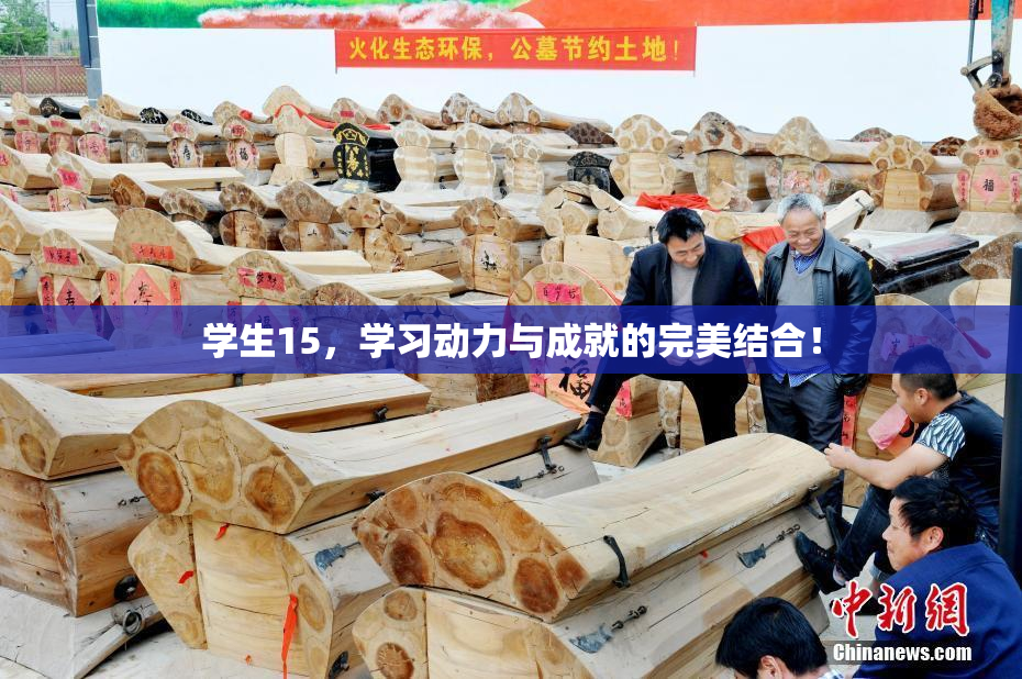 学生15，学习动力与成就的完美结合！