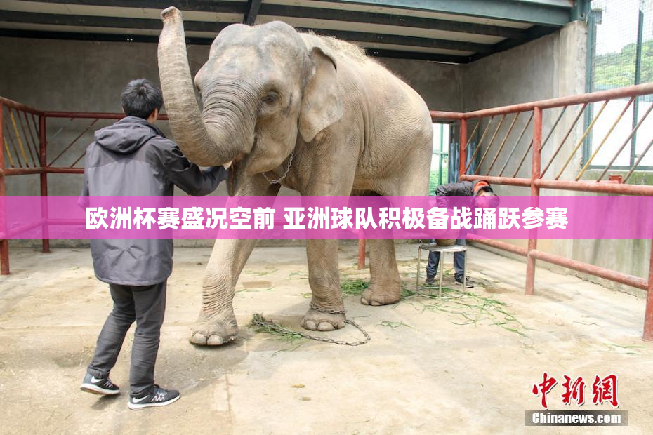 欧洲杯赛盛况空前 亚洲球队积极备战踊跃参赛