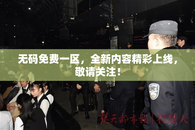 无码免费一区，全新内容精彩上线，敬请关注！