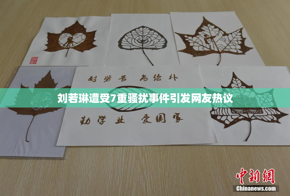 刘若琳遭受7重骚扰事件引发网友热议
