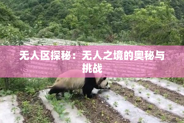 无人区探秘：无人之境的奥秘与挑战