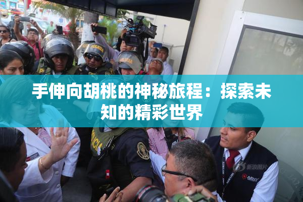 手伸向胡桃的神秘旅程：探索未知的精彩世界
