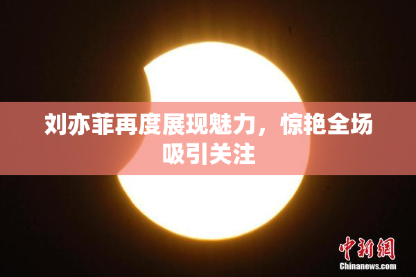 刘亦菲再度展现魅力，惊艳全场吸引关注