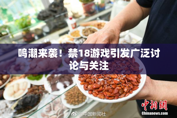 鸣潮来袭！禁18游戏引发广泛讨论与关注