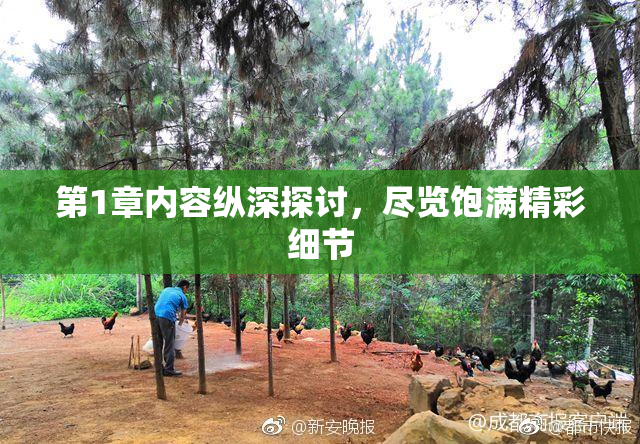 第1章内容纵深探讨，尽览饱满精彩细节