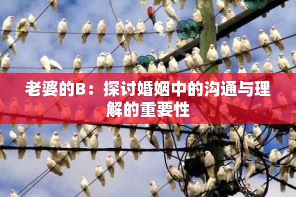 老婆的B：探讨婚姻中的沟通与理解的重要性