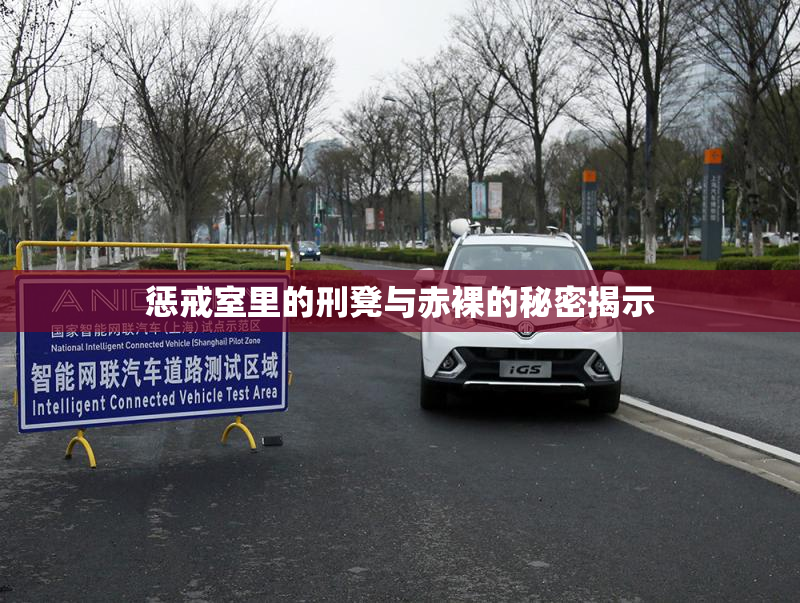 惩戒室里的刑凳与赤裸的秘密揭示