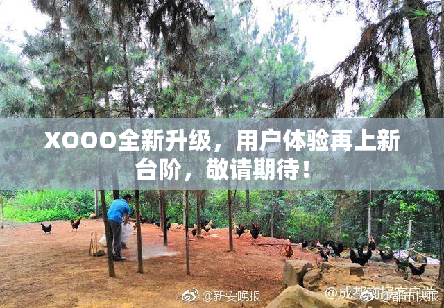 XOOO全新升级，用户体验再上新台阶，敬请期待！