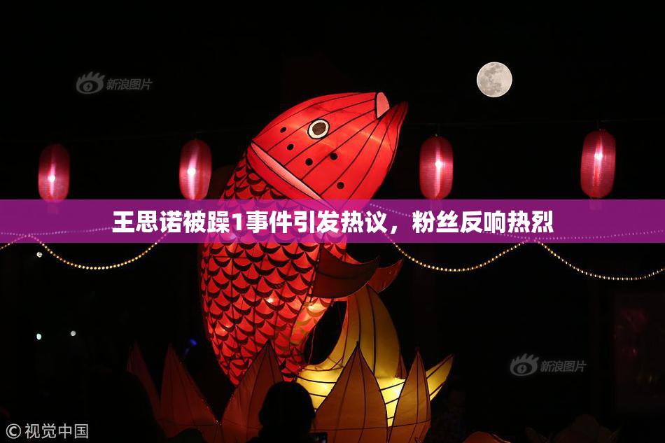 王思诺被躁1事件引发热议，粉丝反响热烈