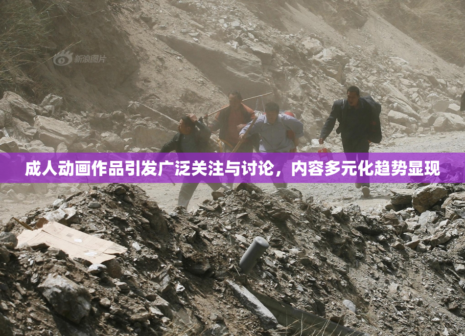 成人动画作品引发广泛关注与讨论，内容多元化趋势显现