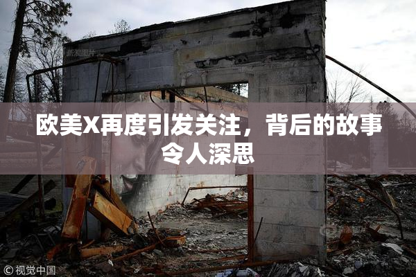 欧美X再度引发关注，背后的故事令人深思