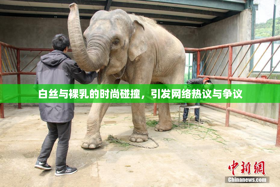白丝与裸乳的时尚碰撞，引发网络热议与争议