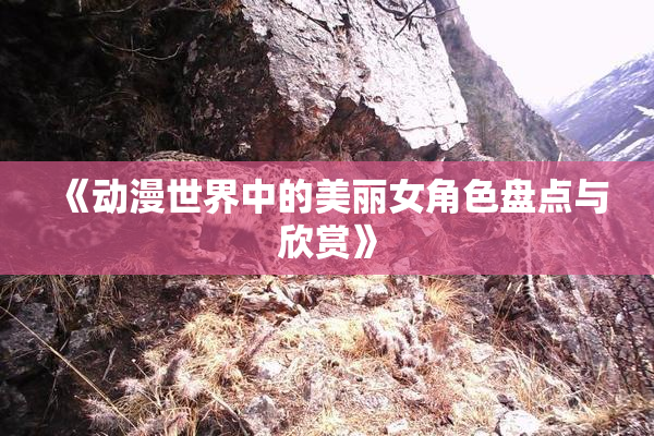 《动漫世界中的美丽女角色盘点与欣赏》