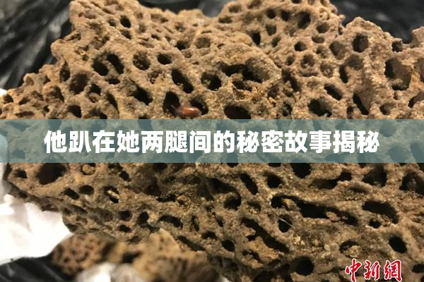 他趴在她两腿间的秘密故事揭秘