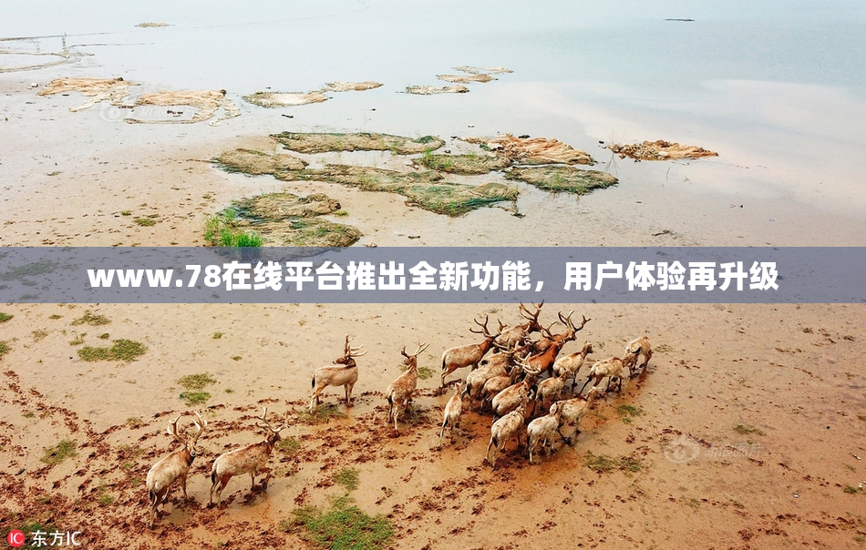 www.78在线平台推出全新功能，用户体验再升级
