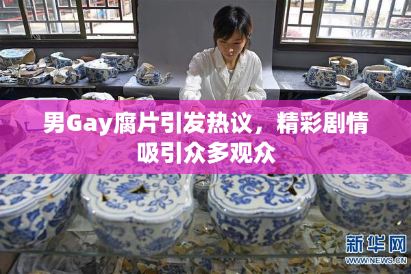 男Gay腐片引发热议，精彩剧情吸引众多观众