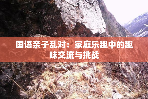 国语亲子乱对：家庭乐趣中的趣味交流与挑战