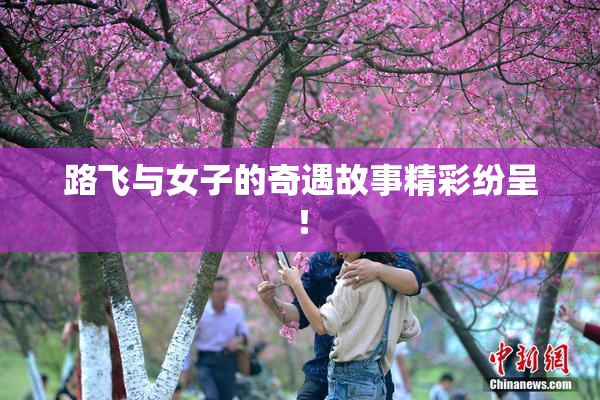 路飞与女子的奇遇故事精彩纷呈！