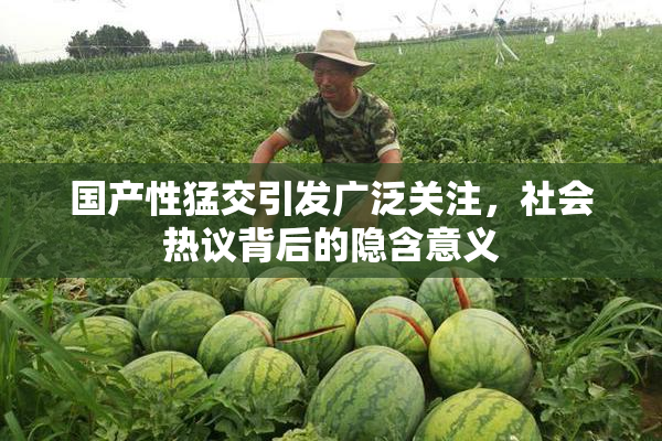 国产性猛交引发广泛关注，社会热议背后的隐含意义