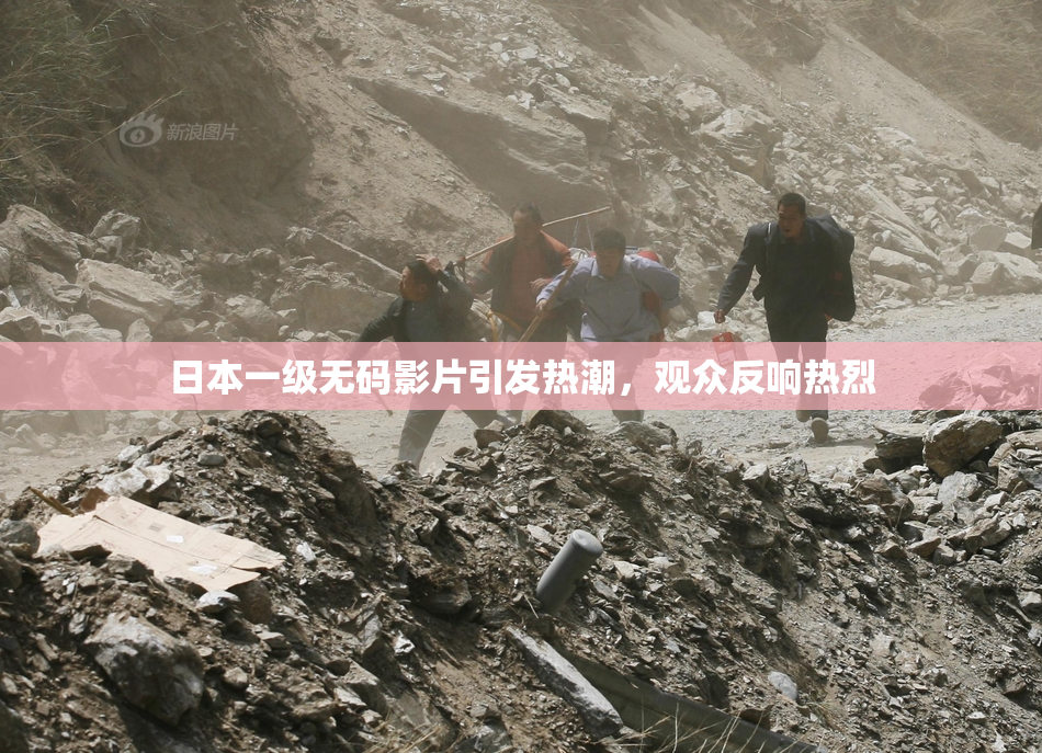日本一级无码影片引发热潮，观众反响热烈