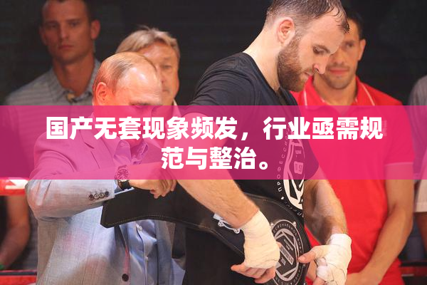 国产无套现象频发，行业亟需规范与整治。