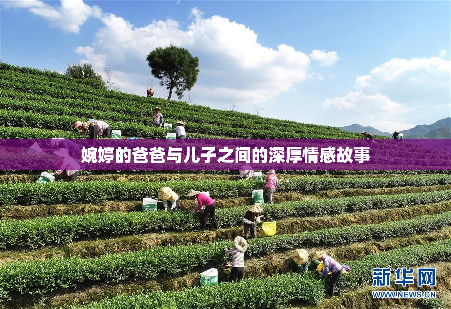婉婷的爸爸与儿子之间的深厚情感故事