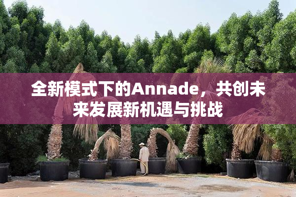 全新模式下的Annade，共创未来发展新机遇与挑战