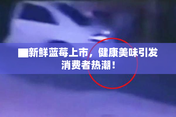 ▇新鲜蓝莓上市，健康美味引发消费者热潮！