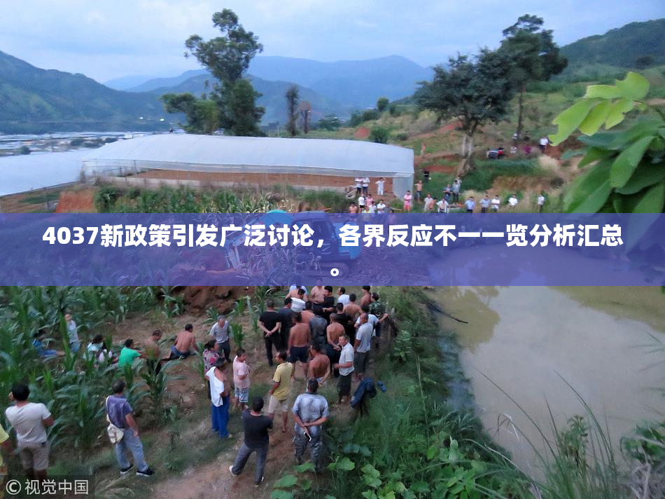 4037新政策引发广泛讨论，各界反应不一一览分析汇总。