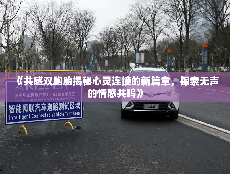 《共感双胞胎揭秘心灵连接的新篇章，探索无声的情感共鸣》