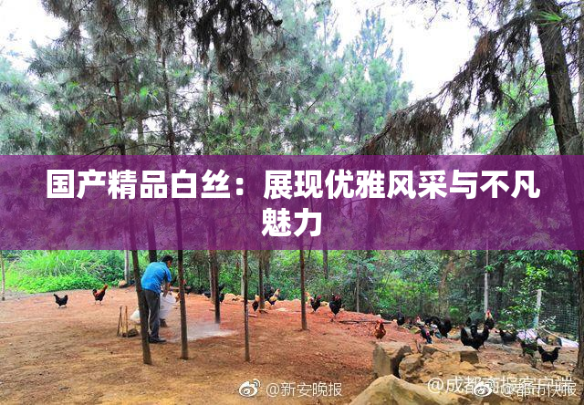 国产精品白丝：展现优雅风采与不凡魅力