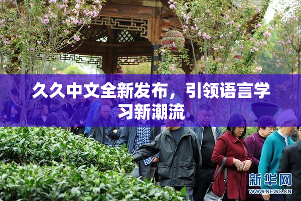 久久中文全新发布，引领语言学习新潮流