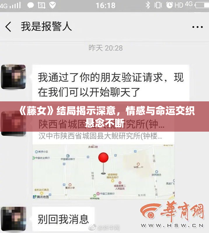 《藤女》结局揭示深意，情感与命运交织悬念不断