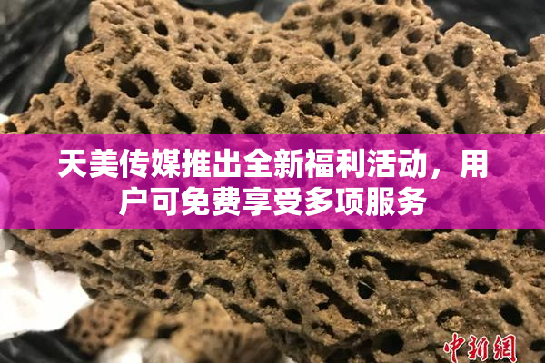 天美传媒推出全新福利活动，用户可免费享受多项服务