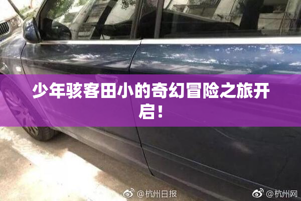少年骇客田小的奇幻冒险之旅开启！