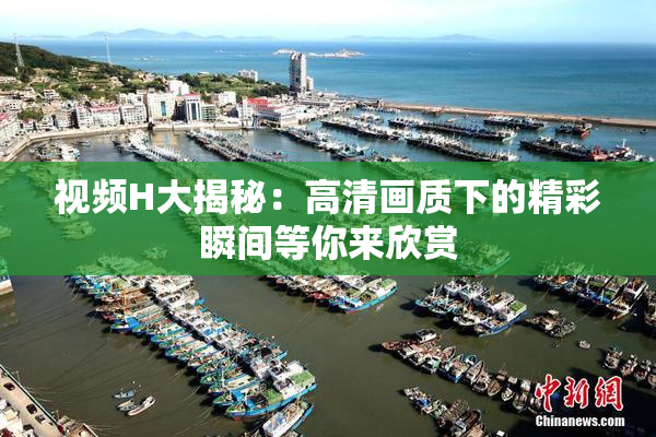 视频H大揭秘：高清画质下的精彩瞬间等你来欣赏