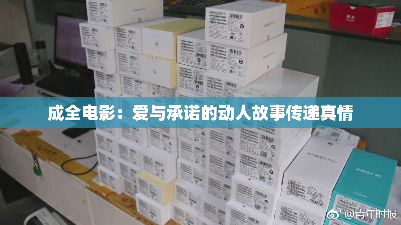 成全电影：爱与承诺的动人故事传递真情